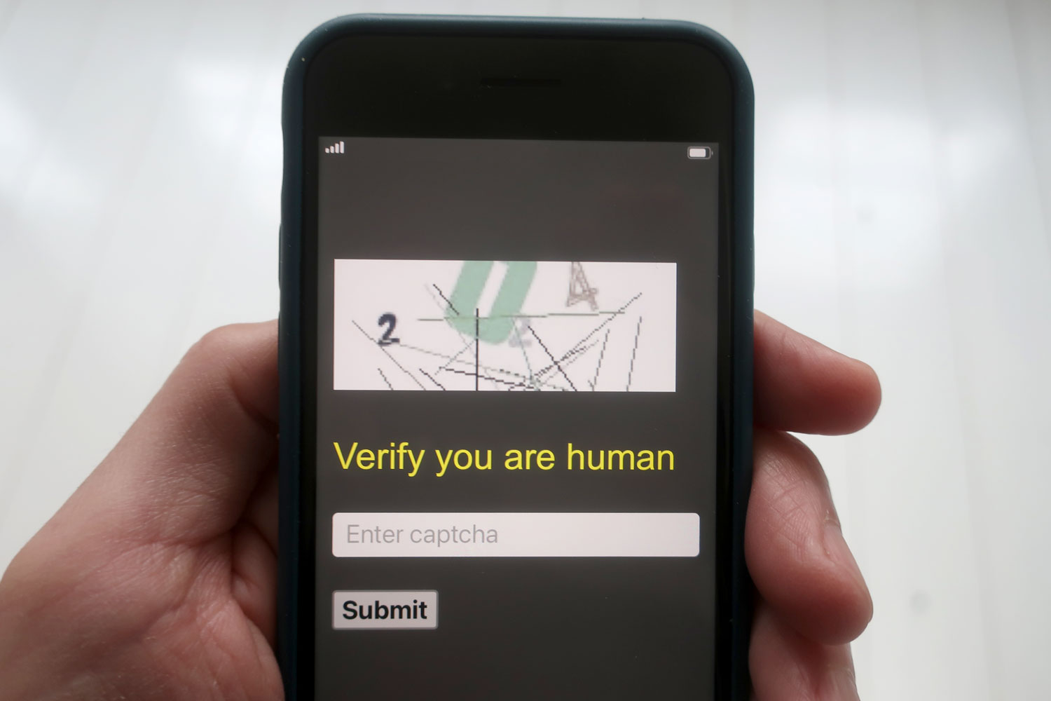 Claude Closky, ‘2024,’ 2023, web site (www.closky.info) (https://closky.info/2024/ ).